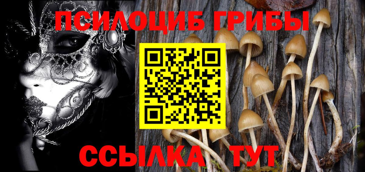 Псилоцибиновые грибы Psilocybine cubensis Ульяновск